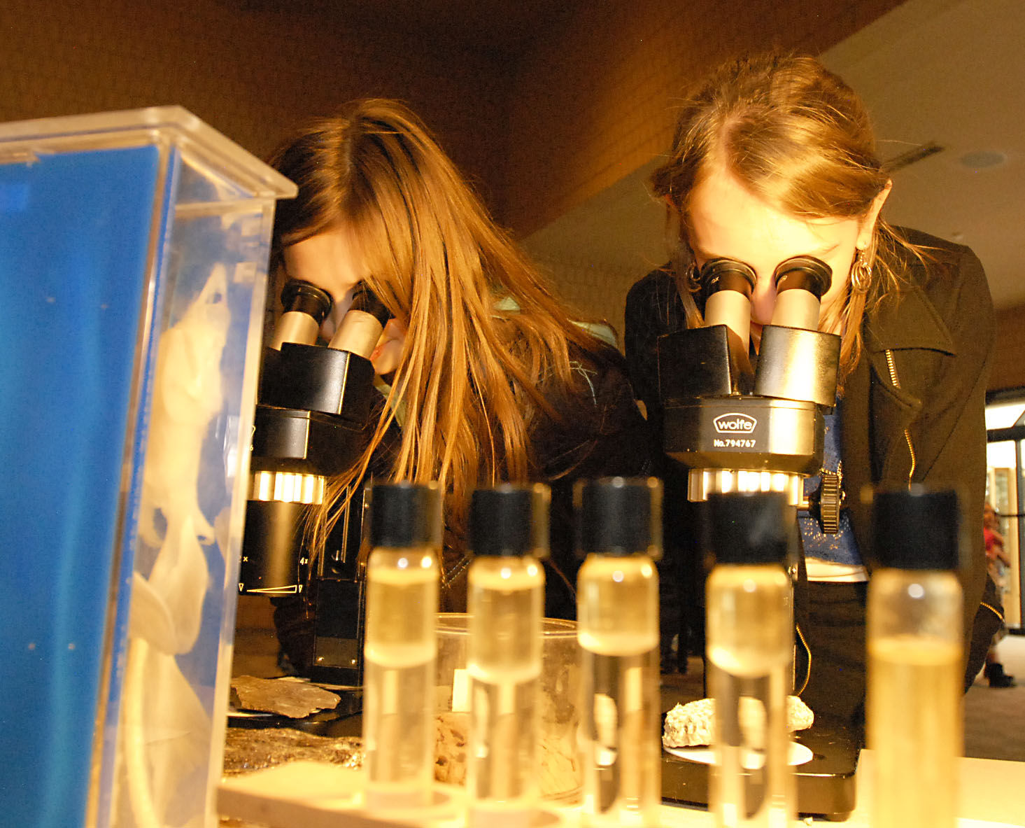 Annual County Science Fair